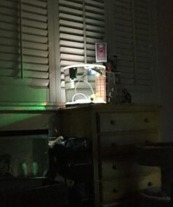 GloFish aquarium Gravel 5 Pounds, White, Complements GloFish Tanks (29022) White Frost 51 71PYZeTleVL