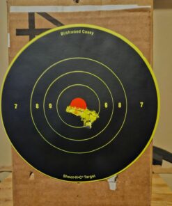 Birchwood Casey Bull's-Eye Reactive Targets - Highly Visible Instant Feedback Self-Adhesive Shooting Targets One Size 60 Targets, 720 Pasters 23 71PbDRP9exL