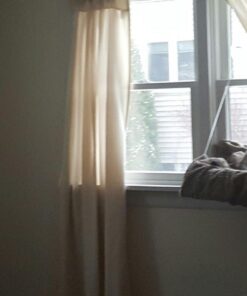 Comfort Zone Feliway Diffuser Refills for Cats and Kittens, 2 Pack 43 71PbSelWu2L