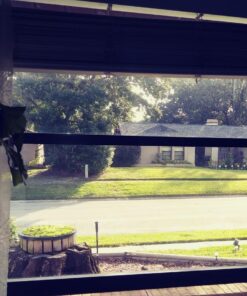 Amazon Basics High-Speed, 4K Ultra HD HDMI 2.0 Cable / Cord, 60 Hz, 2160p, 48 bit, 18 Gbps, 3D, male-to-male, 0.9m (2.9ft) for Laptop 1 Black 3 Feet 54 71PbvaU34EL