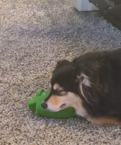 PET MAGASIN Japanese Stainless Steel Grooming Scissors (2) for Facial Hair and Larger for Body Trimming with Round Tip Grooming Sets 37 71Pdv3CQwFL