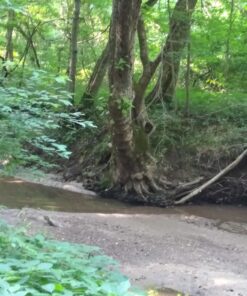 HAUSBELL Listening Device, Scientific Explorer Parabolic Microphone Bionic Ear Electronic Observing Listening Device Digital Device Nature Observing and Listening Device (Headphone Included) Black-headphone Included 40 71PgJ6VsABL