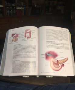 Fellowes Booklift Copyholder,Platinum (21100) 43 71PiBXTqNL