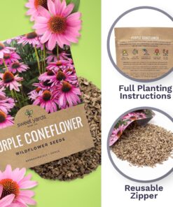 Purple Coneflower Seeds – Extra Large Packet – Over 3,000 Open Pollinated Non-GMO Wildflower Seeds – Echinacea purpurea 1 Ounce Pouch 20 71PjaO0LFrL