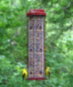 Perky-Pet 102 4 lb Squirrel Resistant Easy Feeder 21 71PlHMu5OhL