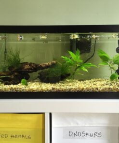 Seachem Indoor Purigen Organic Filtration Resin - Fresh and Saltwater 100 ml 44 71PoLzOxK8L