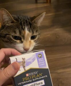 Purina Pro Plan Veterinary Supplements FortiFlora Cat Probiotic Supplement For Cats With Diarrhea - 30 ct. Box 30 71PofAuE3cL