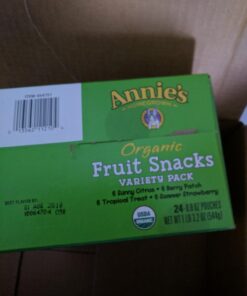 Annie's Organic Bunny Fruit Snacks, Variety Pack, 24 Pouches, 0.8 oz Each - Packaging May Vary 0.8 Ounce (Pack of 24) 47 71Pp4GbezeL