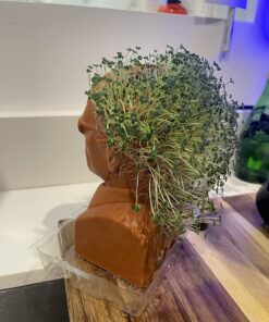 Chia Pet Bernie Sanders with Seed Pack, Decorative Pottery Planter, Easy to Do and Fun to Grow, Novelty Gift, Perfect for Any Occasion 11 71Pr3pyfdpL