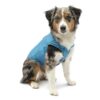 Kurgo Loft Dog Jacket, Reversible Dog Coat, Wear with Harness or Sweater, Water Resistant, Reflective, Winter Coat For Small Dogs (Coastal Blue, S) Coastal Blue/Orange 7 71PtEZKzeGL