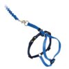PetSafe Come With Me Kitty Harness and Bungee Leash, Harness for Cats, Large, Royal Blue/Navy 21 71PthqgQSmL