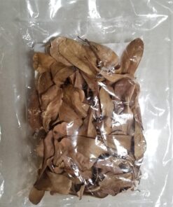 SunGrow 50 pcs Catappa Indian Almond Leaves for Betta Fish Tank Aquarium, 2” Water Conditioner Leaves, Leaf Also Suitable for Shrimp, Goldfish, Guppy and Frogs 50 Leaves 63 71PvUFLEtIL