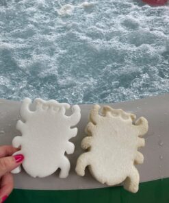 2 pack Scumbug (tm) Oil-Absorbing Sponge Devours Scum, Slime & Grime From Pools & Spas 29 71PvkioIazL