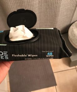 DUDE Wipes - Flushable Wipes Stocking Stuffers - 1 Pack, 48 Wipes - Unscented Extra-Large Adult Wet Wipes - Vitamin-E & Aloe for at-Home Use - Septic and Sewer Safe Fragrance Free 48 Count (Pack of 1) 31 71PwGh VdGL