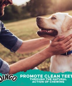 Dingo Tartar And Breath Dental Sticks For All Dogs, 48-Count 48 Count (Pack of 1) 22 71Py4mhX1qL