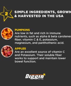 Diggin' Your Dog Firm Up Pumpkin for Dogs & Cats, 100% Made in USA, Pumpkin Powder for Dogs, Digestive Support, Apple Pectin, Fiber, Healthy Stool, 16 oz 16 oz (Pack of 1) 21 71PzqsC3M3L