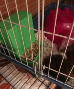 Kaytee Gravity Bin Feeder With Bracket Assorted 39 71Q Wy45tnL