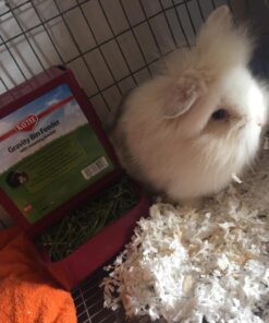 Kaytee Gravity Bin Feeder With Bracket Assorted 45 71Q25VNQBL