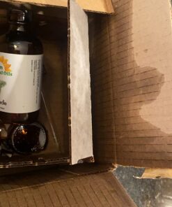 Sun Essential Oils 4oz - Fir Needle Essential Oil - 4 Fluid Ounces 4 Fl Oz (Pack of 1) 18 71Q4uJo3QrL