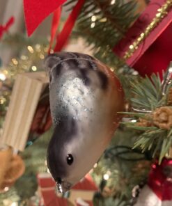 Old World Christmas Ornaments: Nuthatch Glass Blown Ornaments for Christmas Tree 34 71Q5oHkkKML