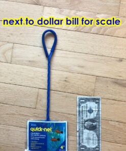 PENN-PLAX Quick-Net Aquarium Fish Nets – Durable, Strong, and Safe – Color May Vary (Blue or Green) 4" Net 29 71Q6qRobToL