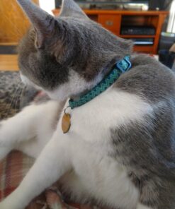 Petmate Aspen Pet Breakaway Fashion Collar, 3/8" x 8-12", Sub Geo Blue 3/8" x 8-12" 24 71QAl93Il7L