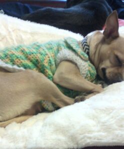 Armarkat Pet Bed Mat 28 by 22 by 5, M02HJH/MB-Medium, Ivory 28.0"L x 22.0"W x 5.0"Th 34 71QD7bY6IfL