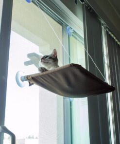 Oster Sunny Seat Window-Mounted Cat Bed, 50 Pounds 38 71QERY0EKAL