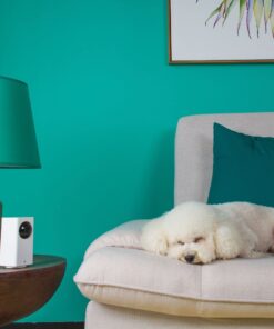 Wyze Cam 1080p Pan/Tilt/Zoom Wi-Fi Indoor Smart Home Camera with Night Vision, 2-Way Audio, Works with Alexa & the Google Assistant, White - WYZECP1 Wyze Cam Pan 41 71QFgeFYgwL