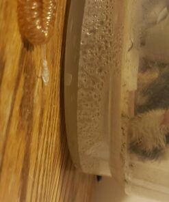 HBlife Digital Egg Incubator for Hatching 9-12 Chicken, Quail and Duck Eggs, with Fully Automatic Egg Turning and Temperature Display, Hatcher for Turkeys, Birds, Parrots and Poultry 40 71QHUHl1cqL