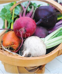 Seed Needs, 1,500+ Rainbow Beet Seed Mixture - 8 Variety Heirloom Mix (Beta vulgaris) Bulk Non-GMO 32 71QICs5WWLL