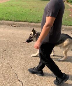 rabbitgoo Dog Harness, No-Pull Pet Harness with 2 Leash Clips, Adjustable Soft Padded Dog Vest, Reflective No-Choke Pet Oxford Vest with Easy Control Handle for Large Dogs, Black, XL X-Large 47 71QImgTGWL