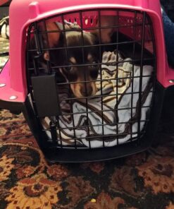 Petmate Two Door Pet Kennel for Pets up to 15 Pounds, Pink/Black, 19" Long, Made in USA Two-door 19.0"L x 13.0"W x 10.0"H 36 71QKGuWungL