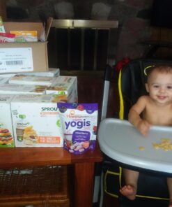 Happy Baby Organics Yogis Freeze-Dried Yogurt & Fruit Snacks, Variety Pack, 1 Ounce (Pack of 6) 1 Ounce (Pack of 6) 23 71QKjr3gVqL