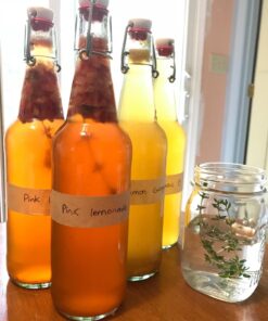 The Kombucha Shop Organic Kombucha Starter Kit - 1 Gallon Brewing Kit Includes All The Essentials Required for Brewing Kombucha At Home Regular 41 71QPMW0EKsL