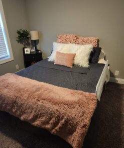 Regalo Swing Down Bed Rail Guard, with Reinforced Anchor Safety System 43 Inch Swing Down 36 71QVD2VCJeL