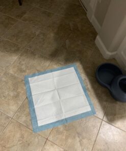 American Kennel Club Scented Puppy Training Pads with Ultra Absorbent Quick Dry Gel – 22 x 22 Puppy Pads - Fresh Scented - Pack of 50 22" x 22" - Pack of 50 26 71QXQT2YRAL