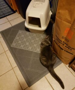 Iprimio Cat Litter Box Mat, 42x36", Gray - Cat Litter Trapping Mat - Mesh Mat Catches Litter - Kitty Litter Mat - Large Cat Litter Mat - Repels Odor, Easy Clean Non Slip Kitty Litter Trapper Mats 42x36 - Gray 34 71QZmaNLI2L