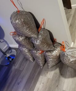 Amazon Basics 24 Sheet Cross Cut Paper, CD and Credit Card Home Office Shredder with Pullout Basket, Black 32 71QaYpS3QfL