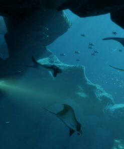 VR Worlds - PlayStation VR PlayStation 4 Standard 9 71QalAkNvQL