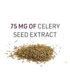 Celery Seed Extract by Natural Factors, Herbal Supplement for a Healthy Circulatory System, 120 Capsules 120 Count (Pack of 1) Standard Packaging 11 71QaxIQDWFL