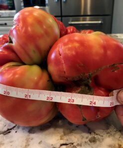 Advanced Nutrients 5450-14 Voodoo Juice Fertilizer, 1 Liter 6 71QbByQ4vWL