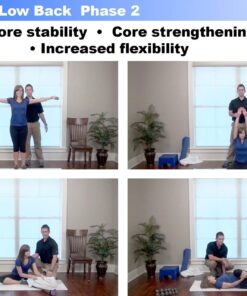 RehabZone Low Back Pain and Core Exercise Plan: Physician Endorsed Low Back Pain Home Exercise and Rehabilitation Program 12 71Qbv0m3RSL