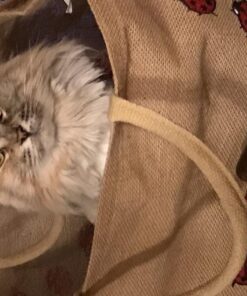 Cat's Pride Drawstring Jumbo Litter Box Liners, 15 Count 11 71QbwhkMDTL