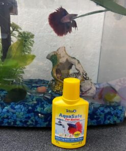Tetra BettaSafe, aquarium Water Conditioner For Bettas, 1.69-Ounce, 50-Ml, Golds & Yellows, Model:16837 29 71Qh2daL00L