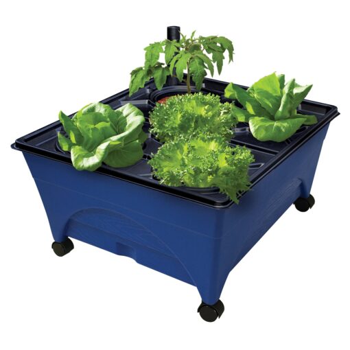 Emsco Group 2370 Hydropickers Compact 24” x 20” Footprint – Mobility Provided by Casters Non-Electric Hydroponics Grow Box, Cobalt Blue