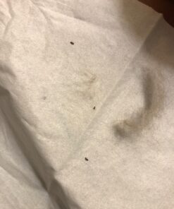 Advantus (Imidacloprid) Chewable Flea Treatment for Large Dogs, 7 Count, 23-110 Pound 34 71QjThMDCJL