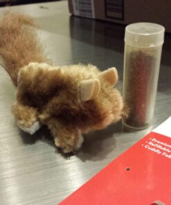 KONG Squirrel Catnip Toy Brown 26 71QkuRlDFQL