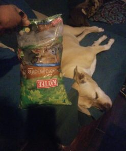 Kaytee Backyard Wildlife Food Blend For Wild Squirrels, Chipmunks, Rabbits and Other Backyard Wildlife, 5 Pound 5 Pound (Pack of 1) 32 71QlO 4KWnL