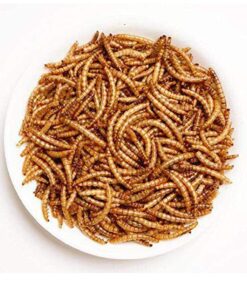 Amzey Appetizing Mealworms 5 LBS- 100% Non-GMO Dried Mealworms - Large Meal Worms - High Protein Treats- Perfect Mealworm for Chickens, Ducks, Turtles, Blue Birds, Lizards - Bag of Mealworms 5 LBS Seafood 10 71Qm2hrb3QL